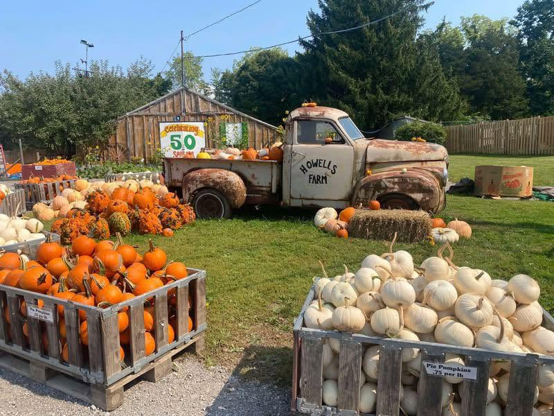 Howell Family Pumpkin Farm cover