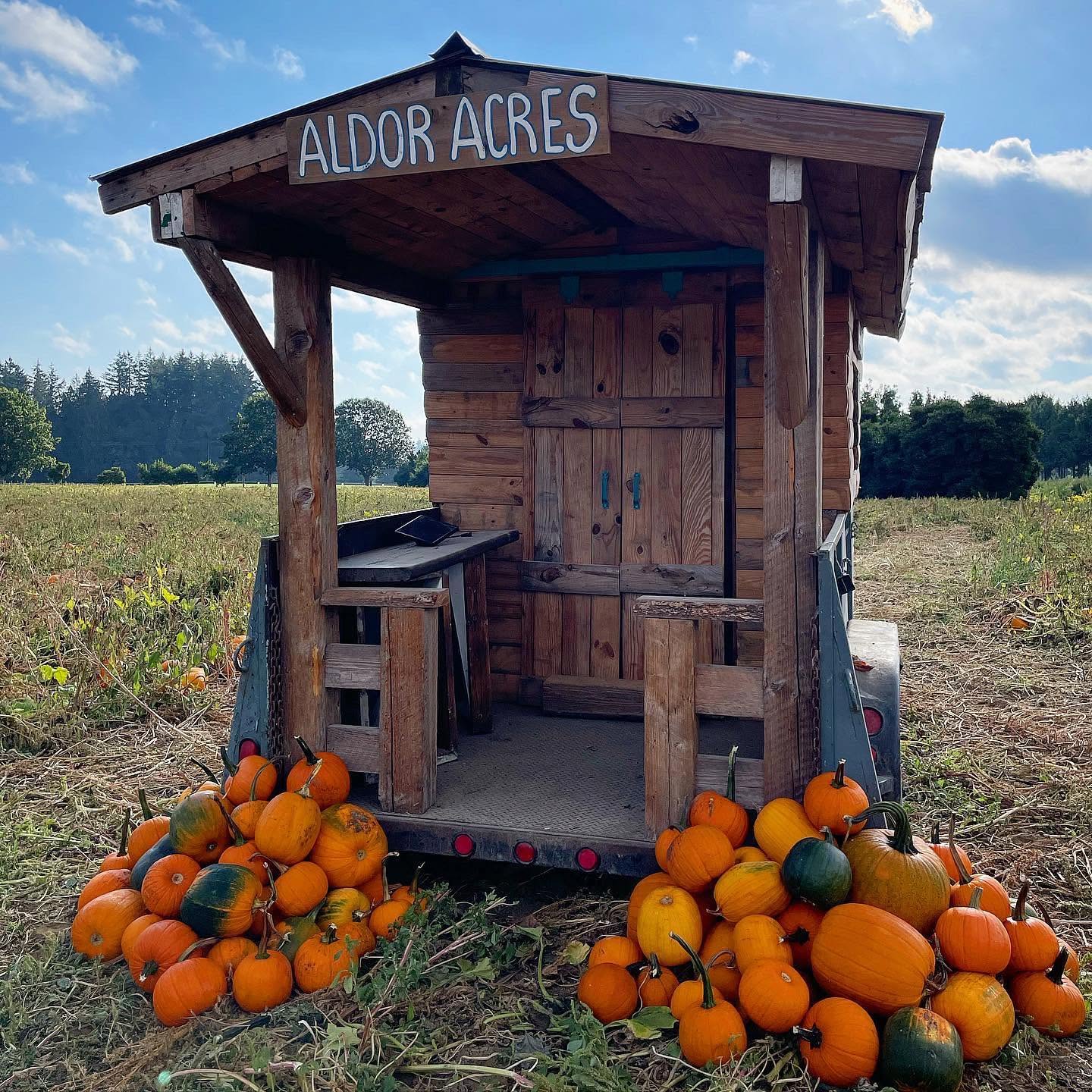 Aldor Acres cover