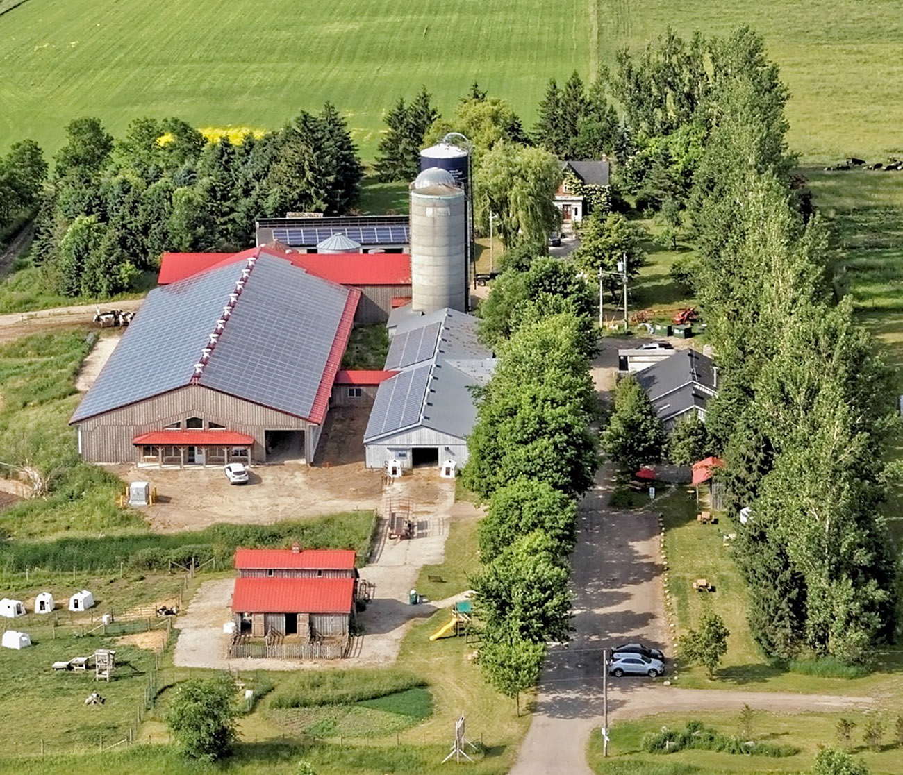 Mapleton's Organic Dairy cover