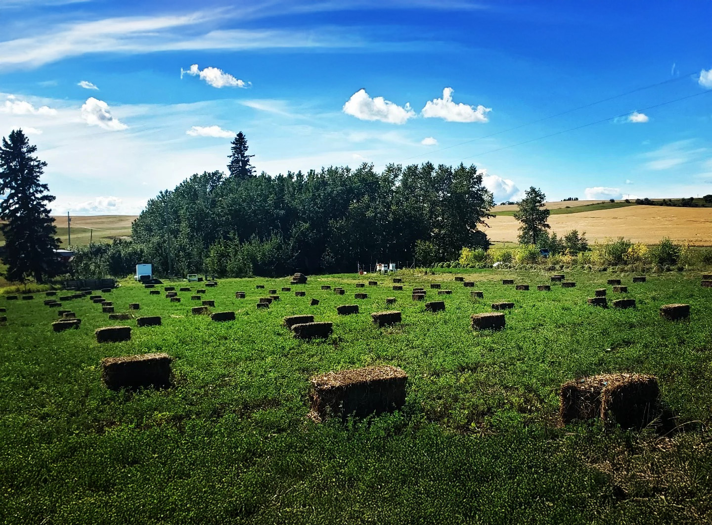 Summit Hill Farm cover