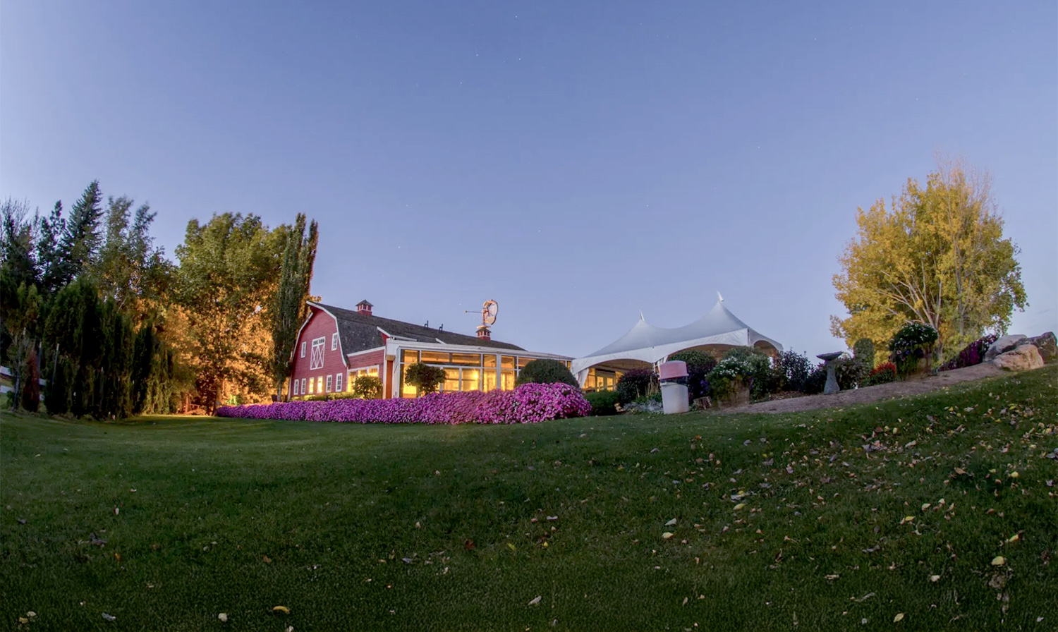 The Berry Barn cover