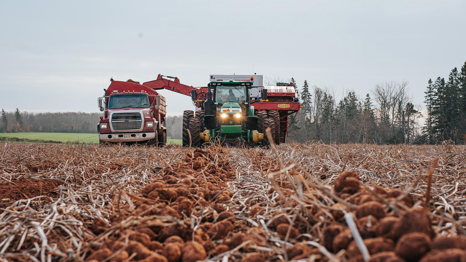 PEI Potatoes cover