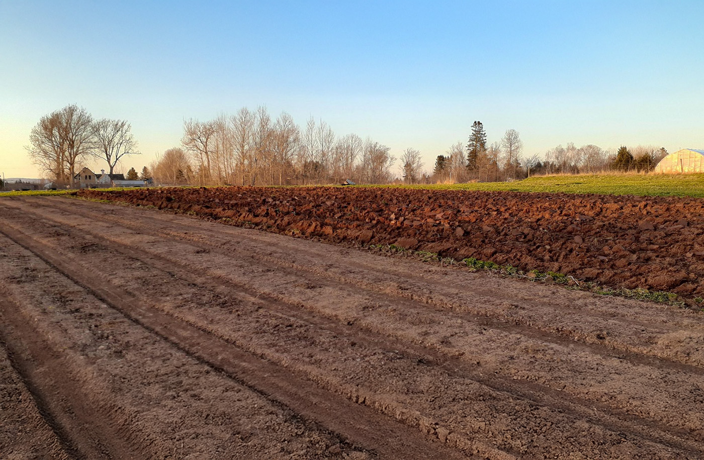 Four Seasons Farm cover