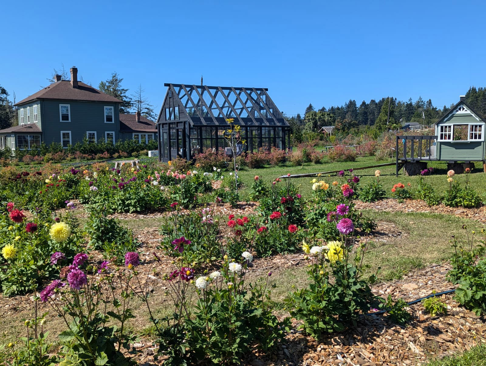 Woodside Farm cover