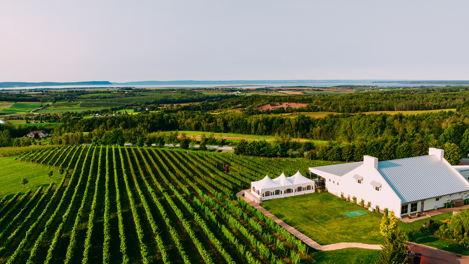 Luckett Vineyards cover