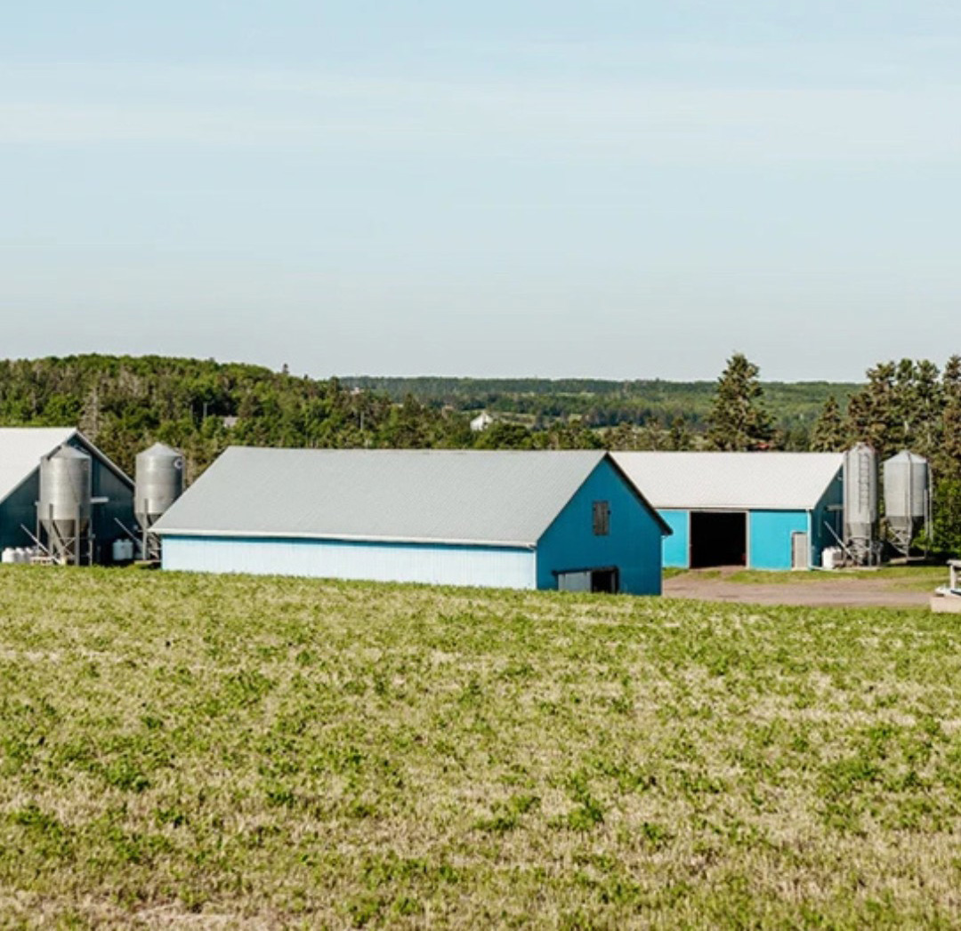 Larkin Farms cover