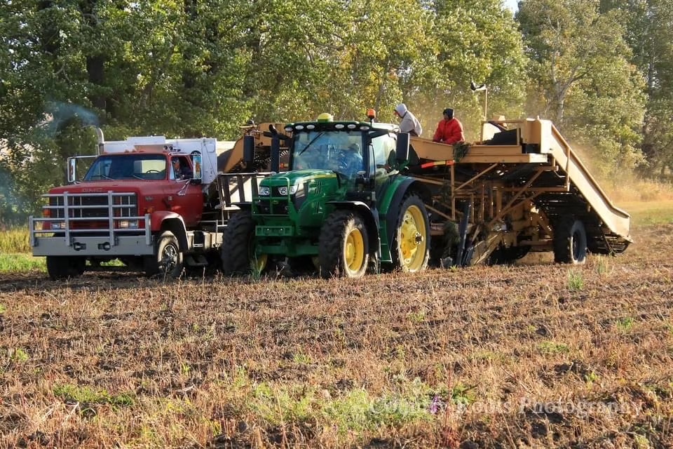 Poplar Bluff Organics cover