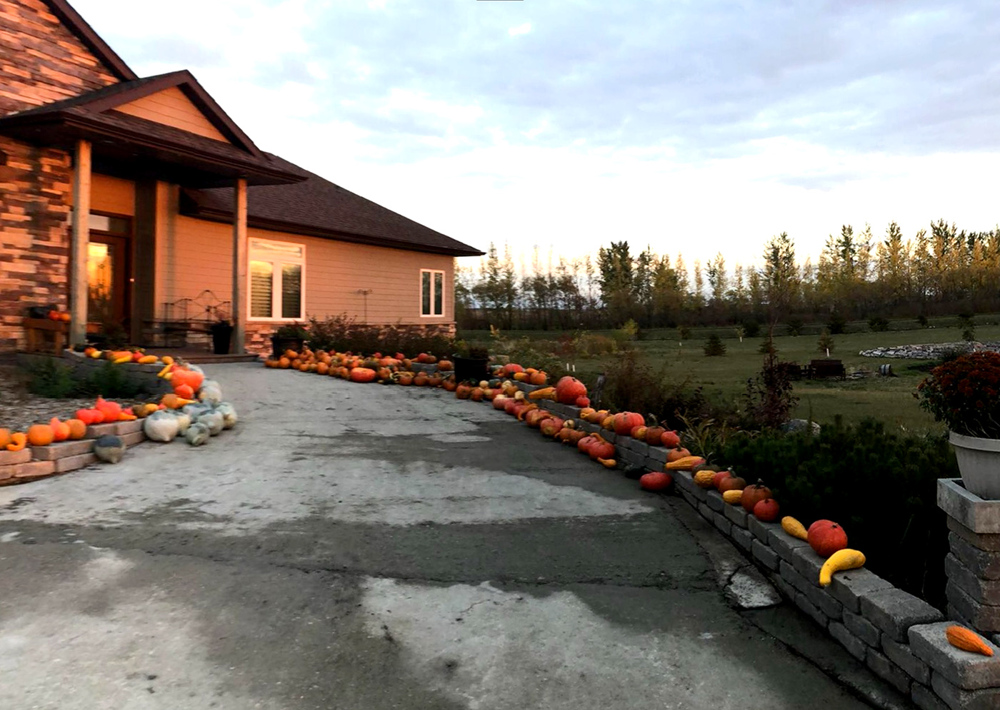 Loewen Homestead cover