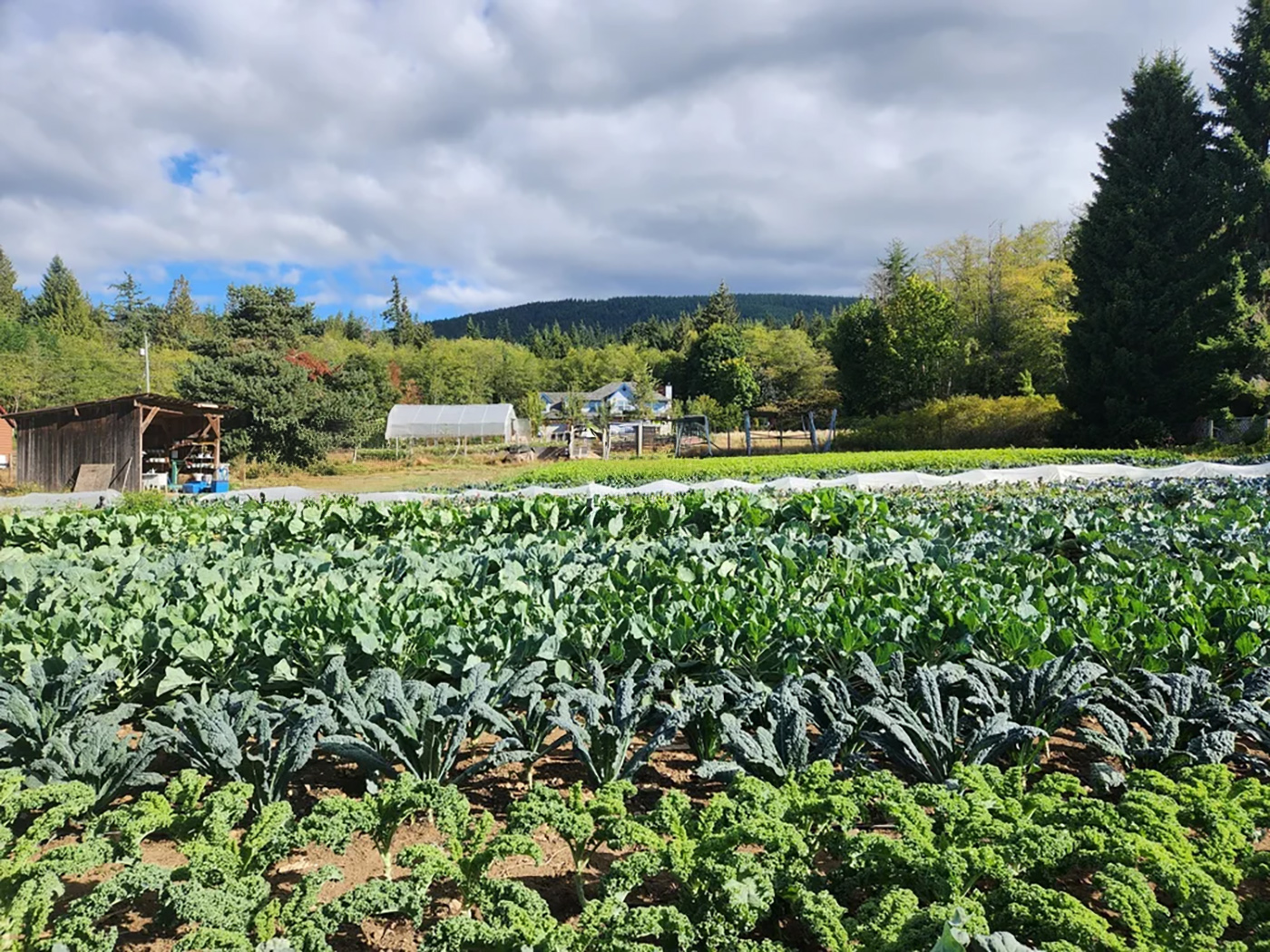Grounded Acres Organic Farm cover