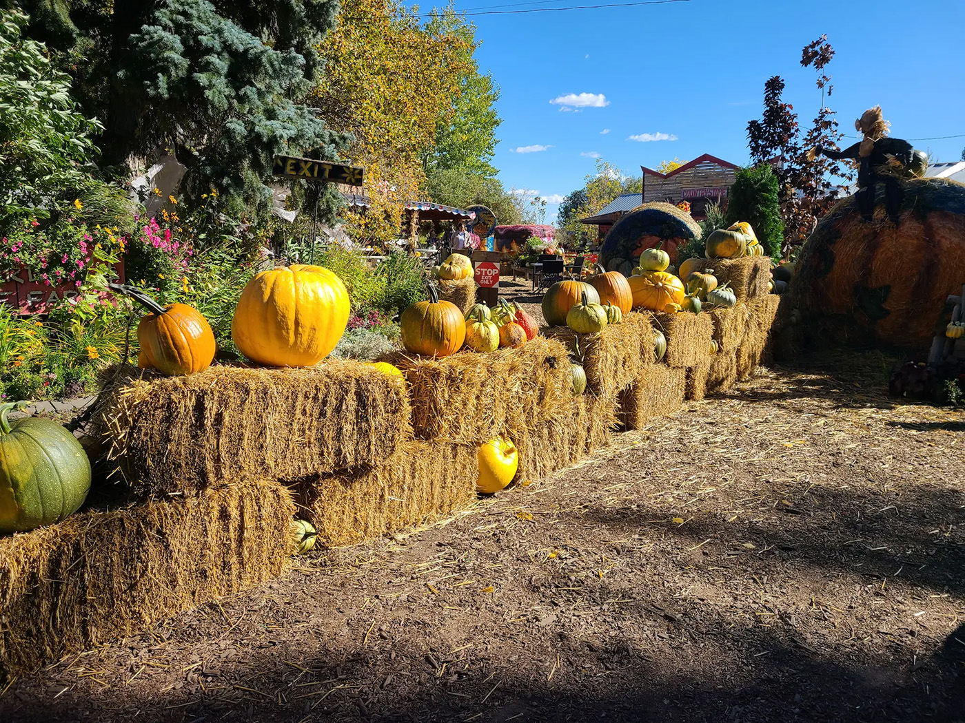 Prairie Gardens & Adventure Farm cover