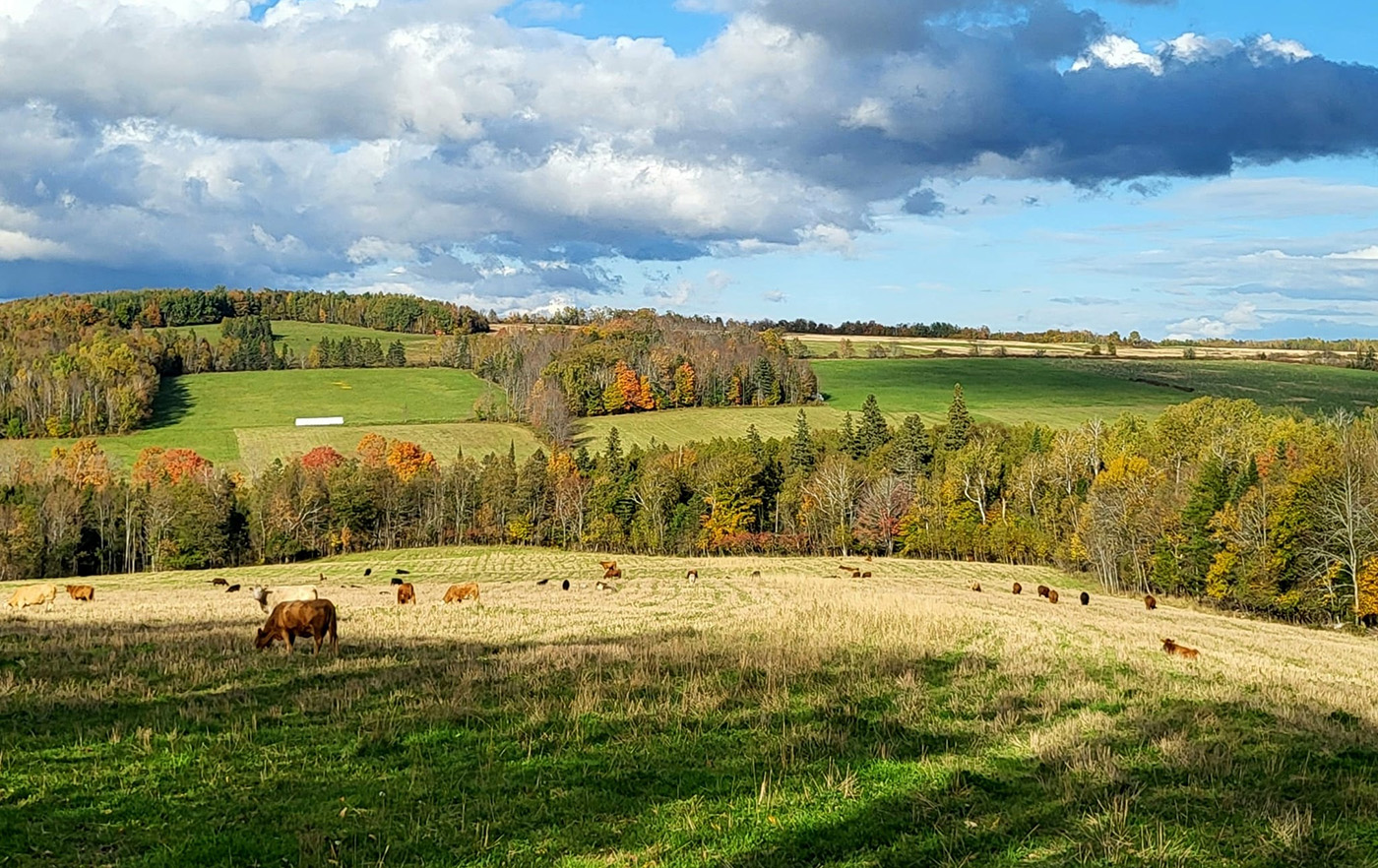Strawberry Hill Farm cover