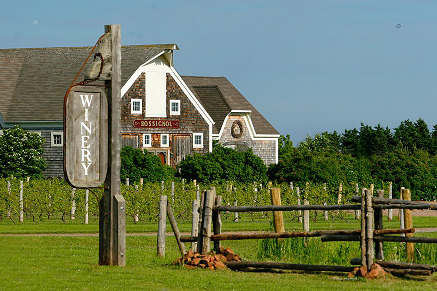 Rossignol Estate Winery cover