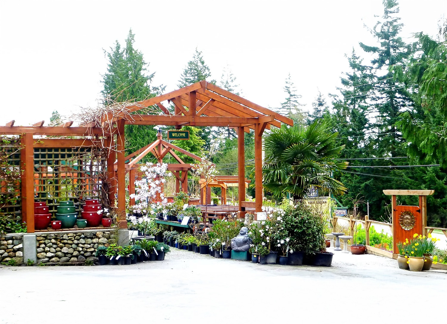 Sunshine Coast Nursery cover