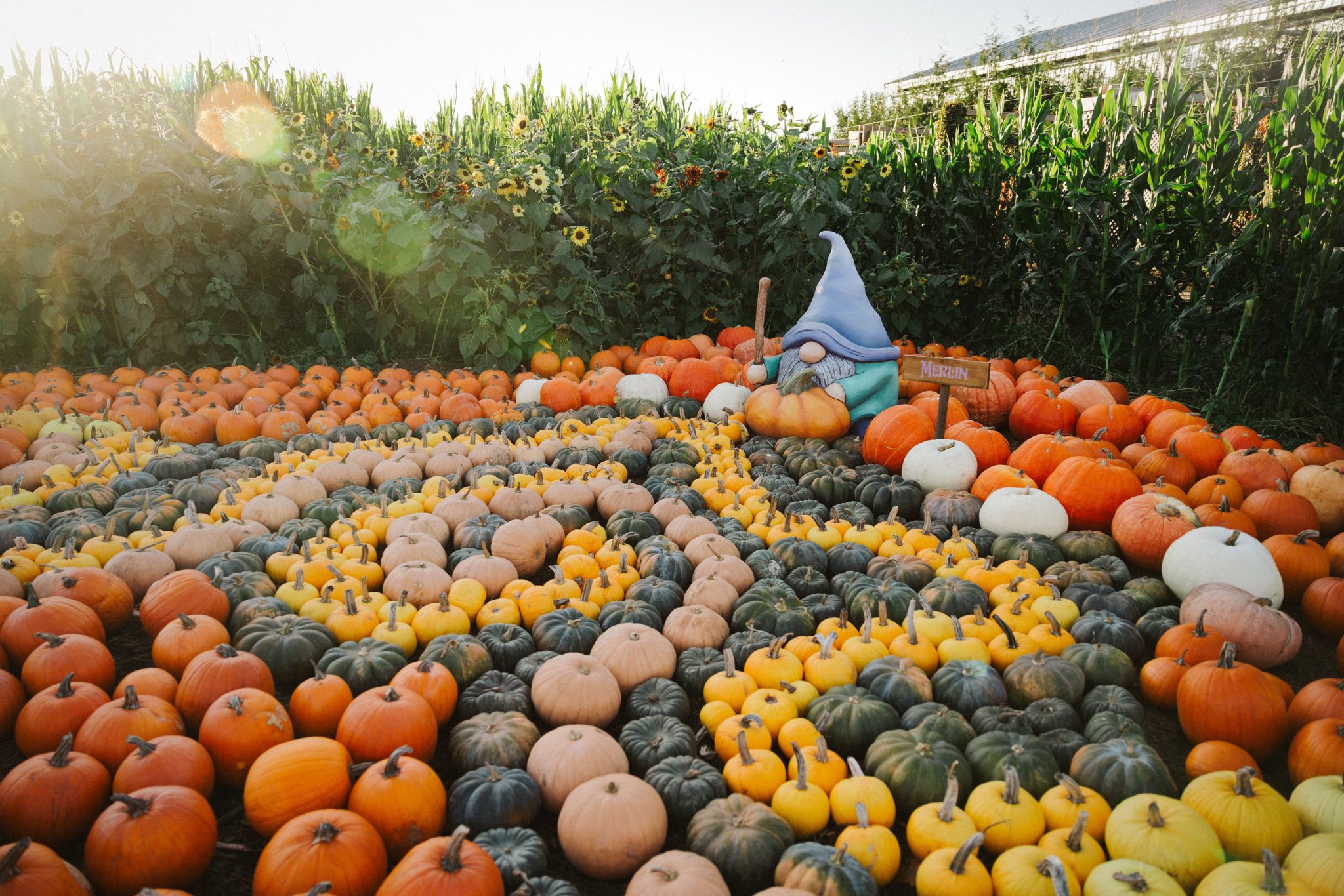 Taves Family Farms (Applebarn) cover