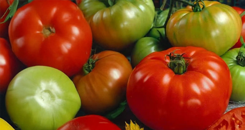 Heirloom Tomatoes 