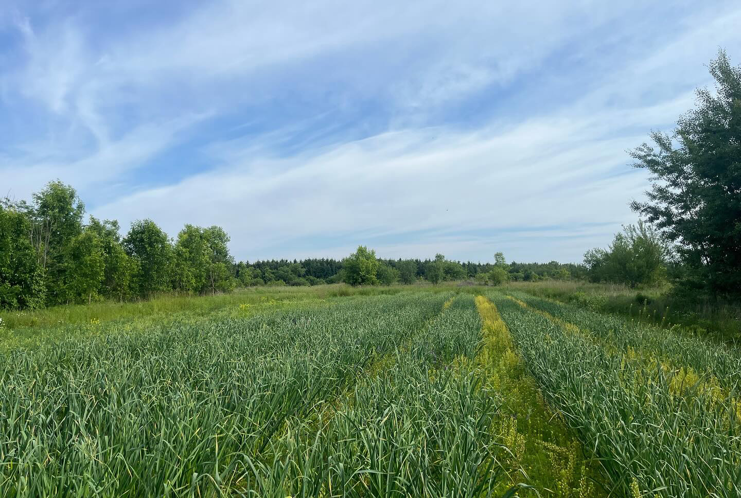 Plan B Organic Farms cover