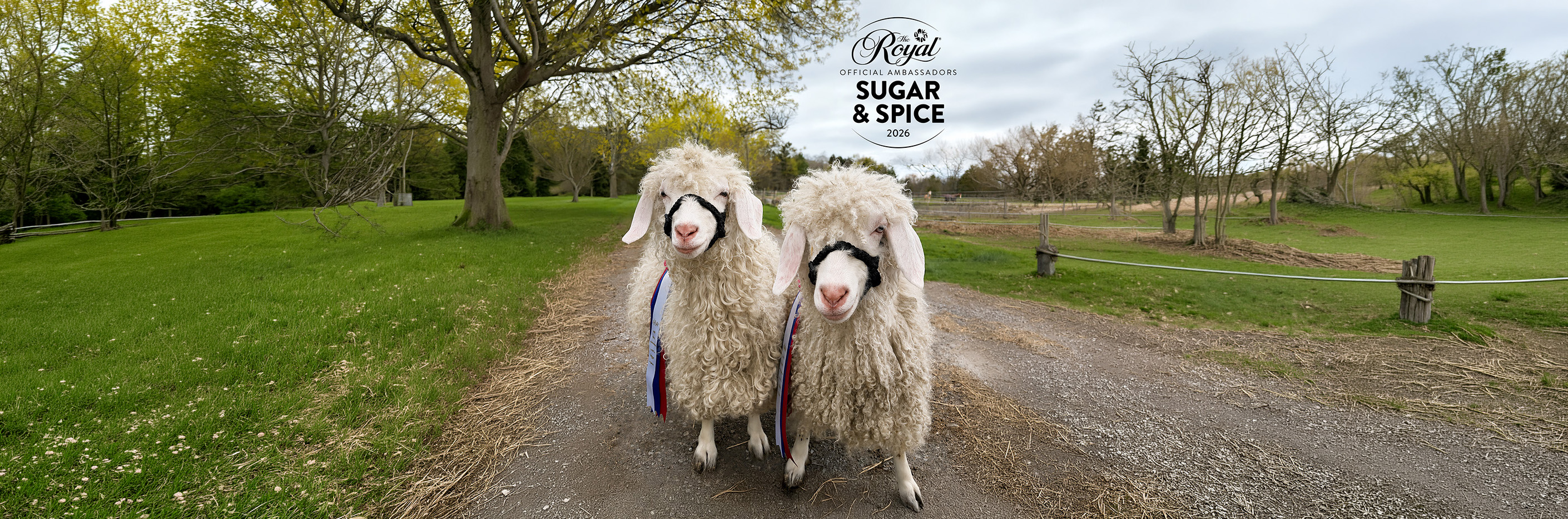 The Royal Agricultural Winter Fair 2026: Dates, Highlights & Visitor Guide.