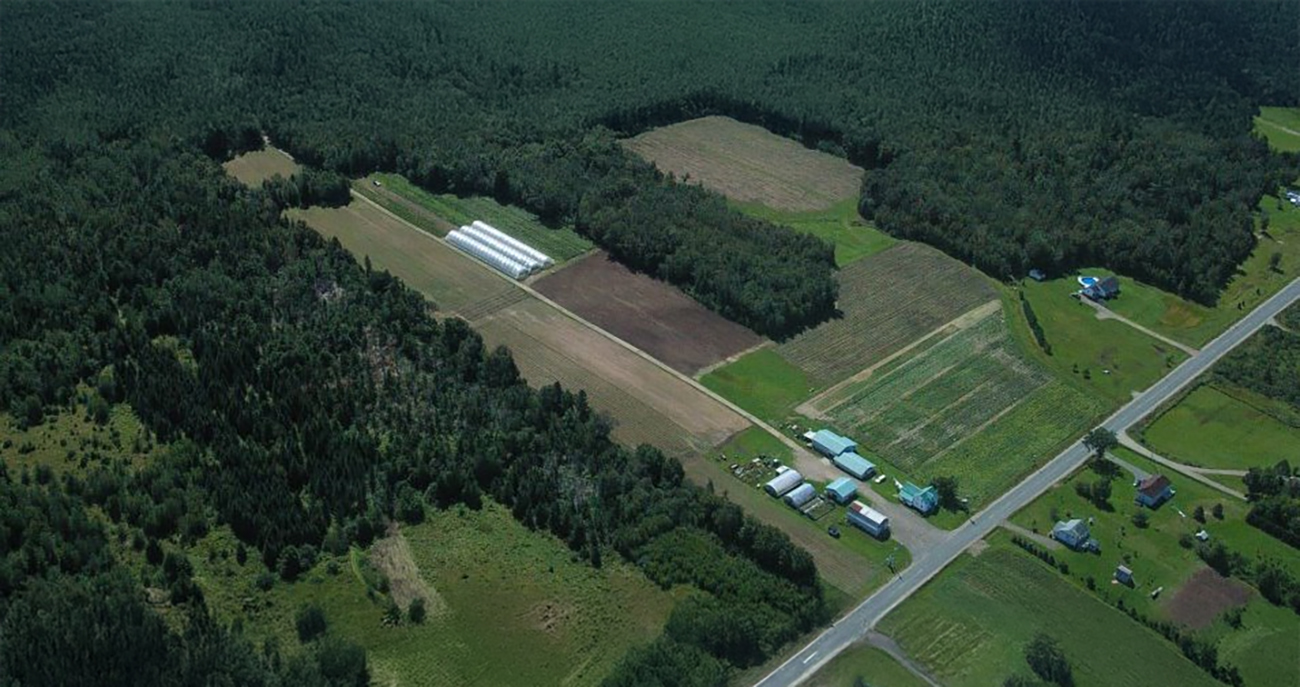 La Ferme Pouce Vert cover