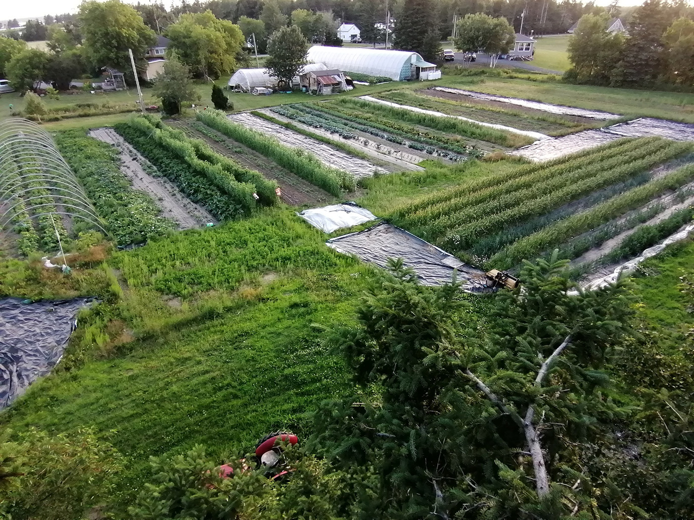 La Ferme La Belle Besogne cover