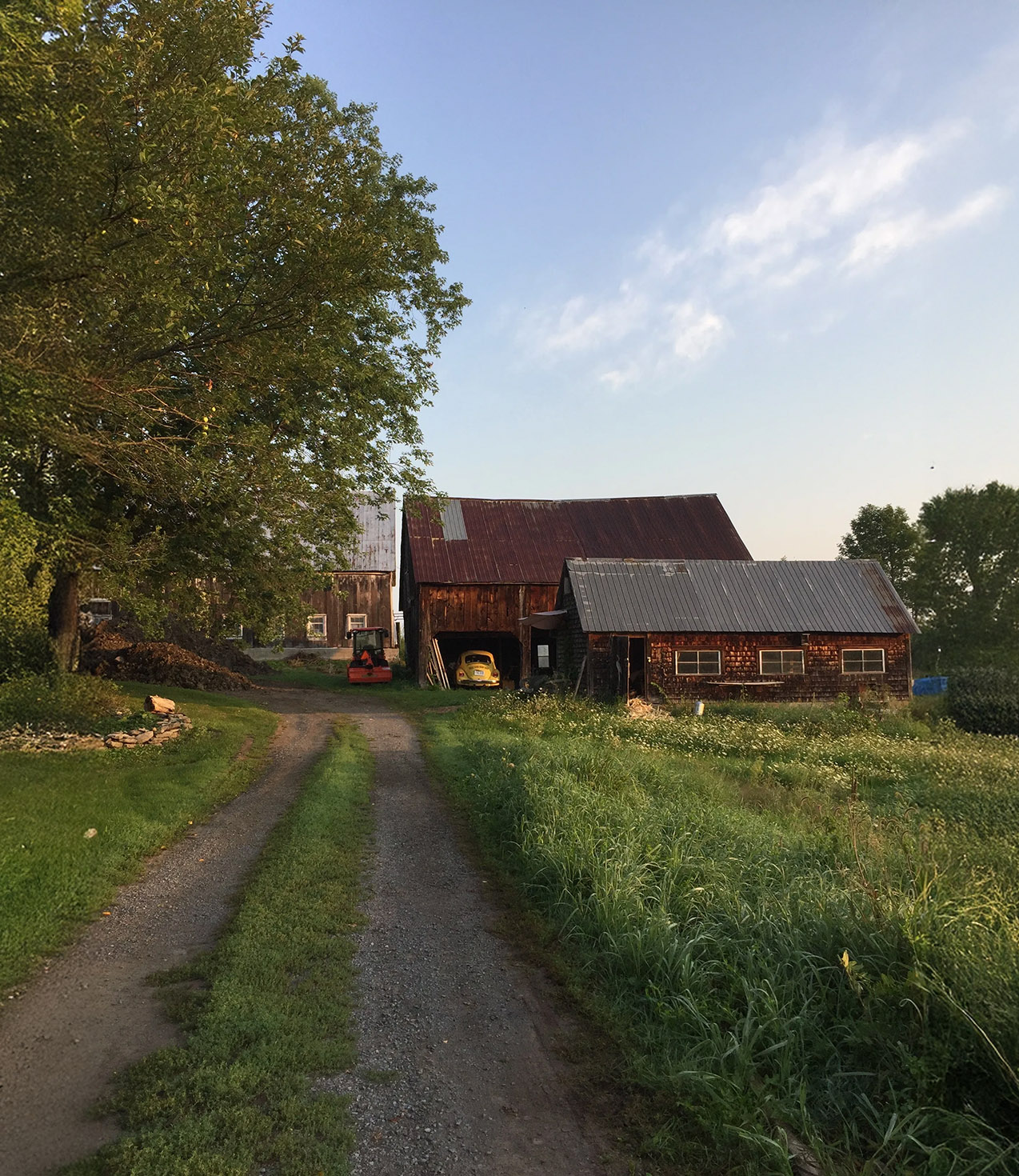 Springfield Farm cover