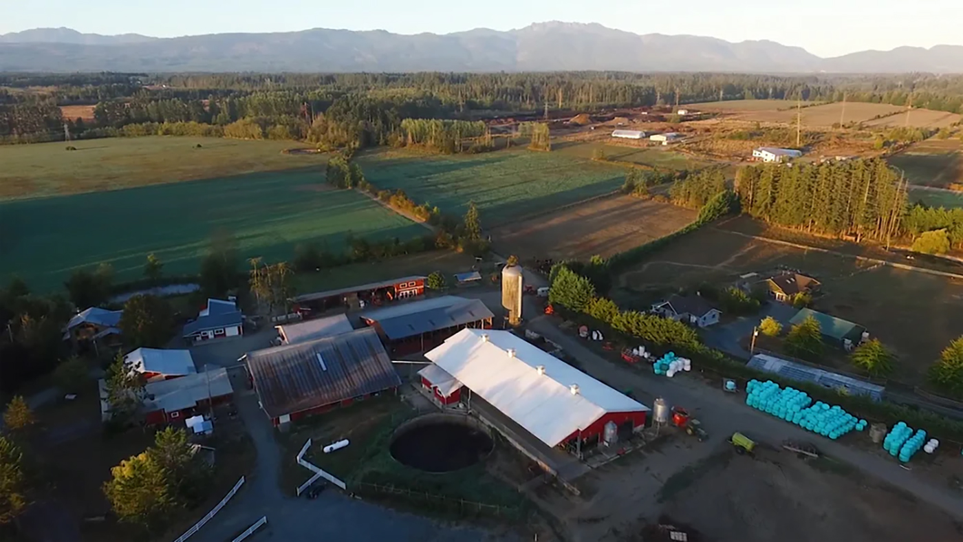 Little Qualicum Cheeseworks cover