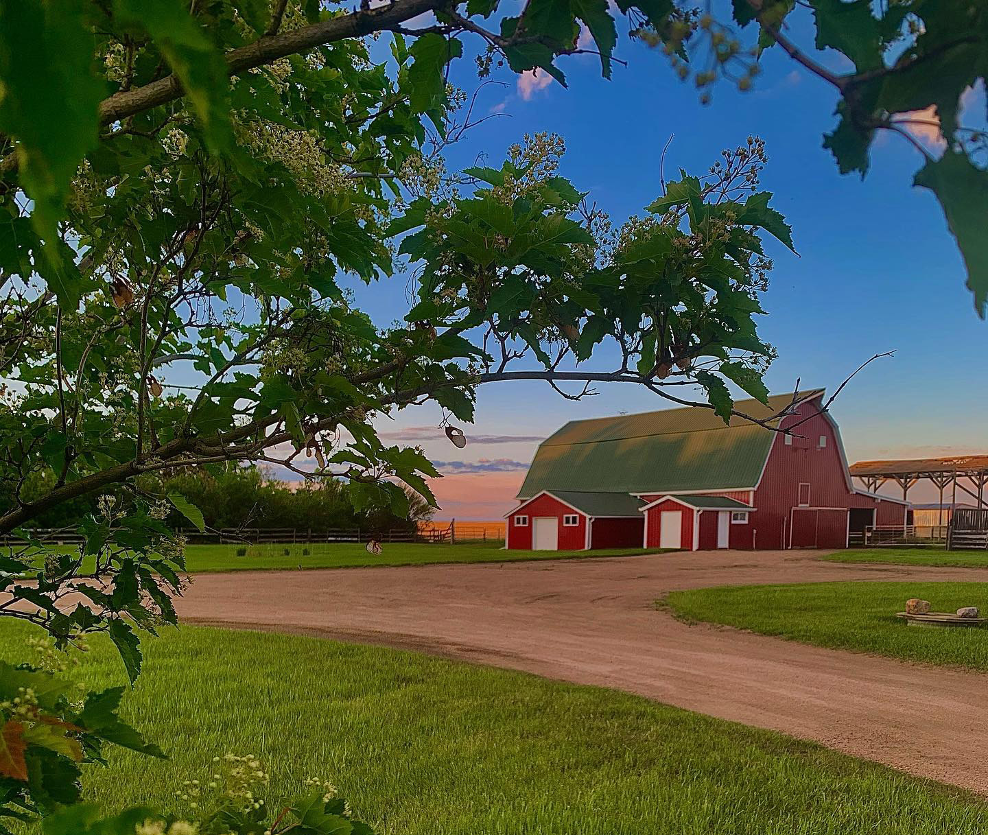 Maybelle Farm cover