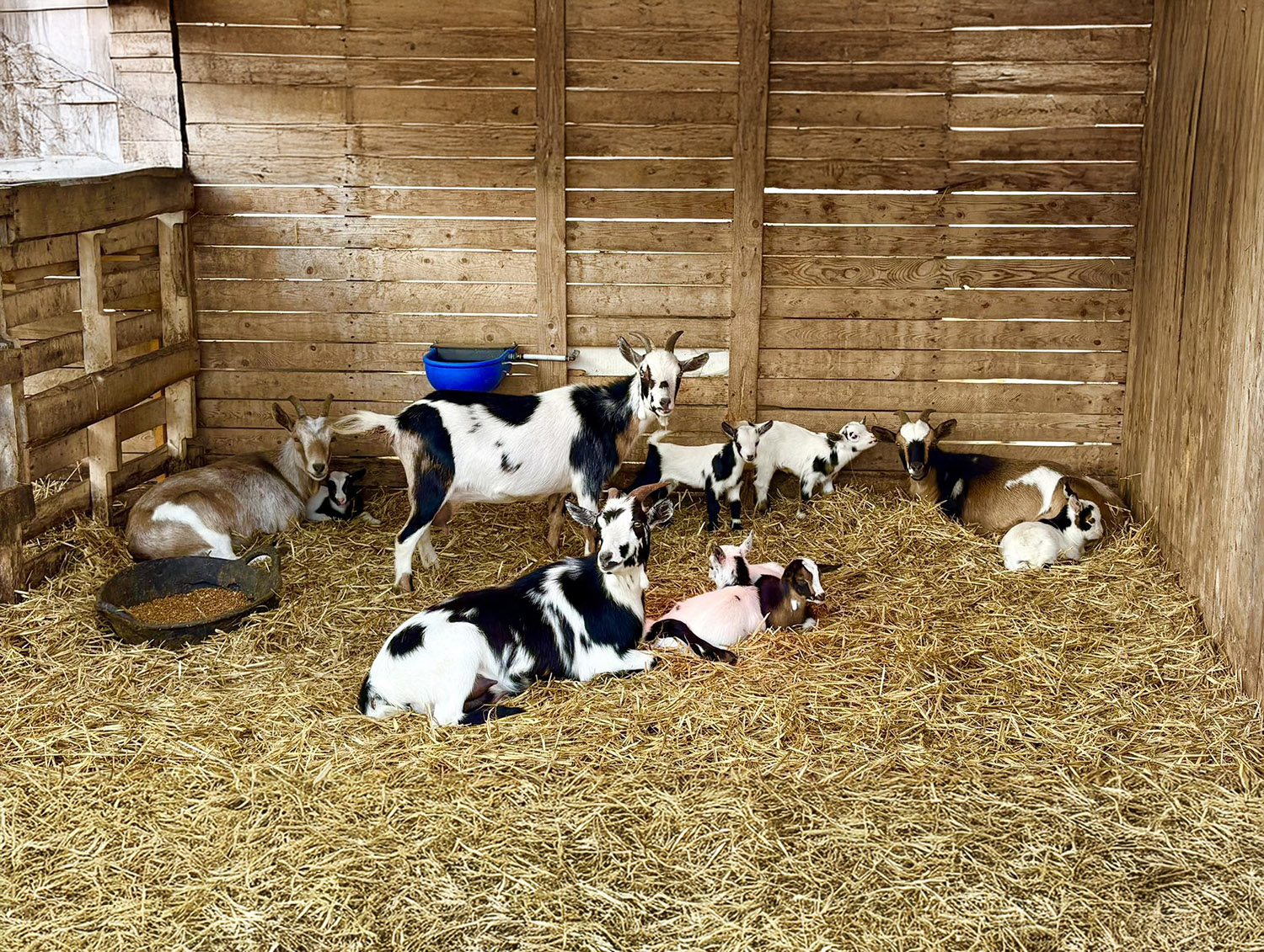 Robbins Family Farm cover