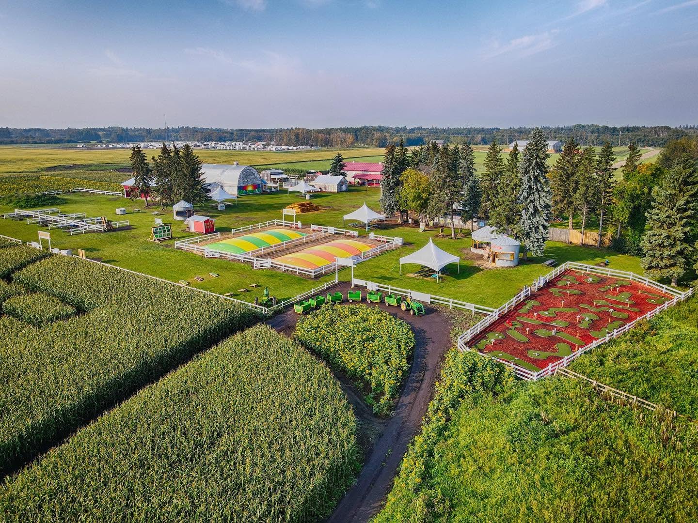 Edmonton Corn Maze cover