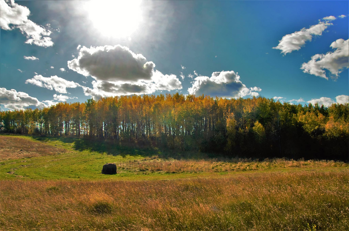 Stonepost Farms cover